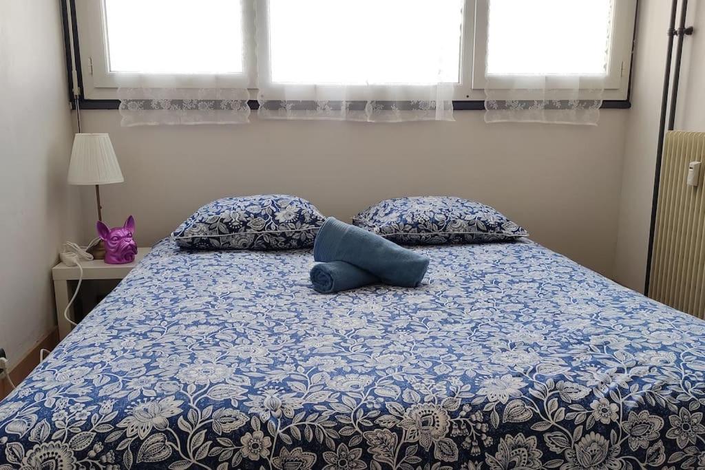 Charmant Appartement Proche Melun Centre Ville ภายนอก รูปภาพ